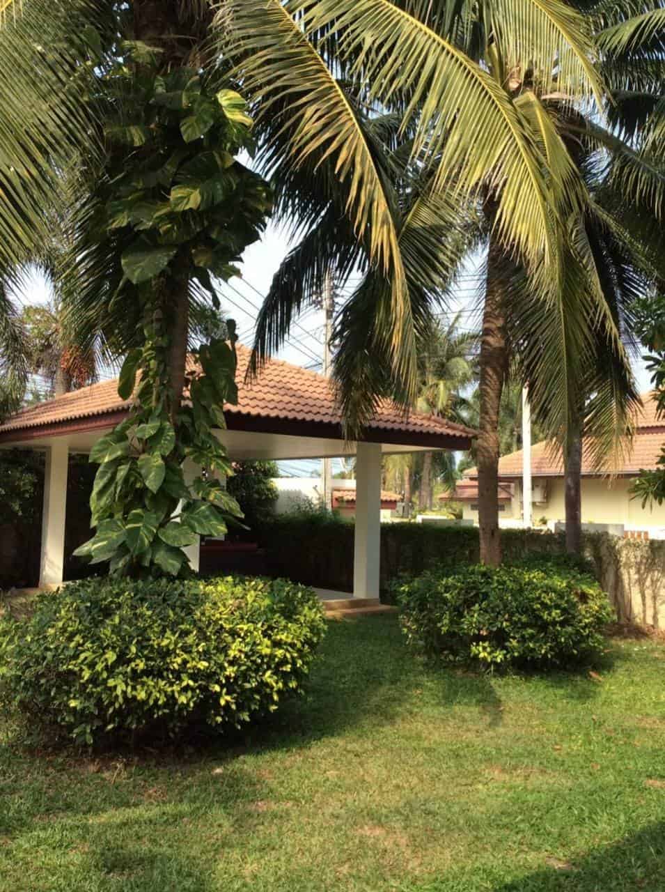 Sleek Modern Villa Poolside Orchid Palm